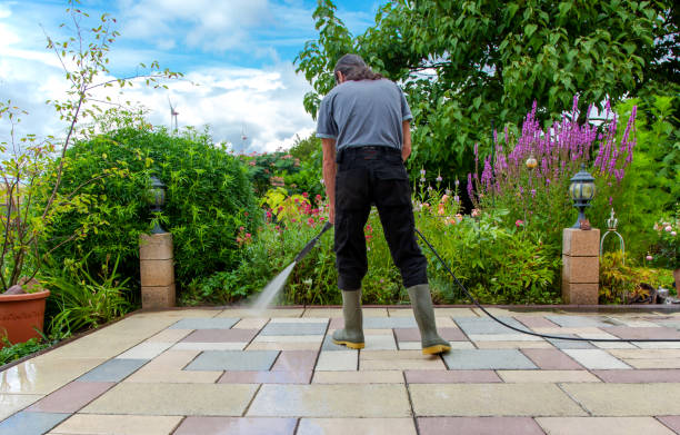 Trusted Allendale, SC Pressure Washing Experts